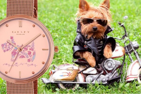 Radley dog discount in moon watch